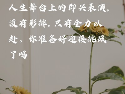 开云体育官网-汉诺威雄起，全力以赴迎接挑战