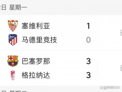 开云体育官网-格兰纳达客场双杀，巴塞罗那再次失利