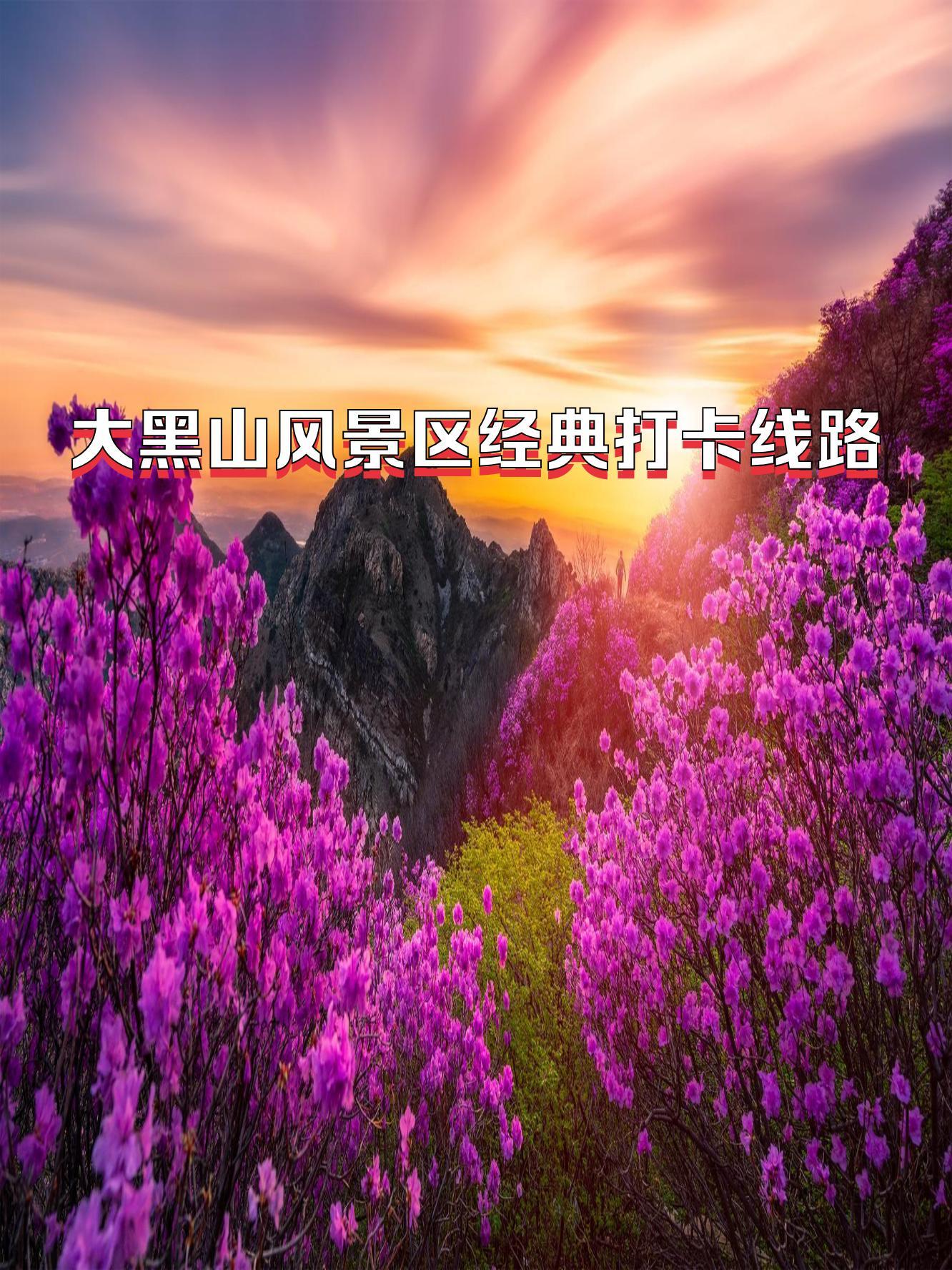 白俄罗斯胜黑山，晋级机会大增